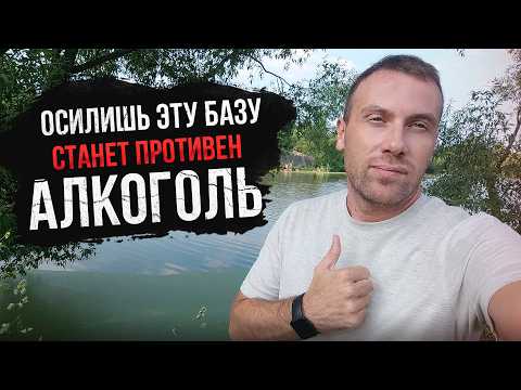 Видео: Поменяй всего пять установок и БРОСИШЬ ПИТЬ ЛЕГКО
