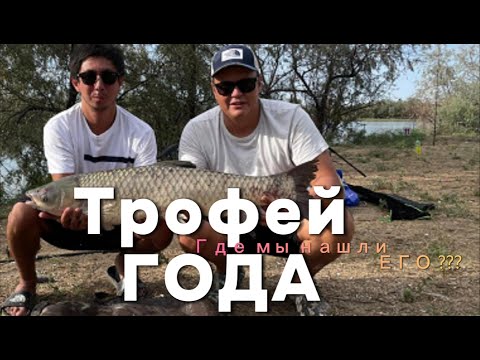 Видео: ТРОФЕЙ БЫЛ ВЗЯТ. ТРОФЕЙНОЕ ОЗЕРО.. День рождение на Рыбалке!!!