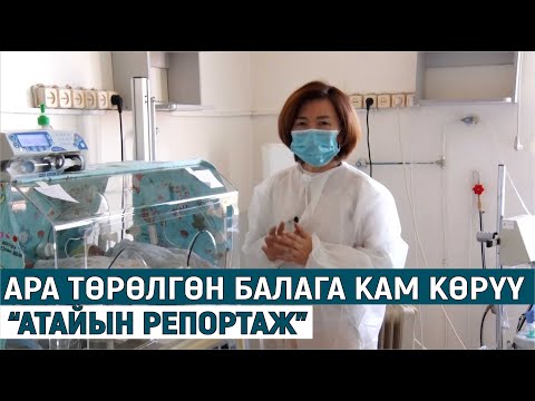 Видео: АРА ТӨРӨЛГӨН БАЛАГА КАМ КӨРҮҮ//АТАЙЫН РЕПОРТАЖ