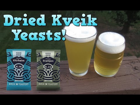 Видео: Норвежский Квейк Блонд Эль! (с Эйтрхаймом и Стальеном)