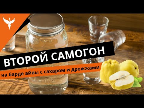 Видео: сДЖ 12: Второй самогон на барде айвы с сахаром и дрожжами