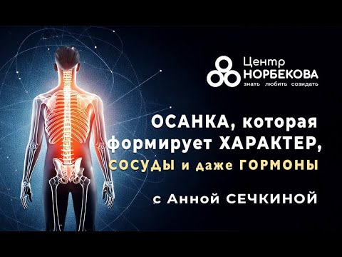 Видео: Вебинар с Анной СЕЧКИНОЙ "Осанка, которая формирует характер, сосуды и гормоны" 3 ноября в 18:00