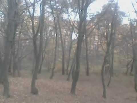 Видео: Понятие Добро как психо-химический костыль для мыслящей материи.