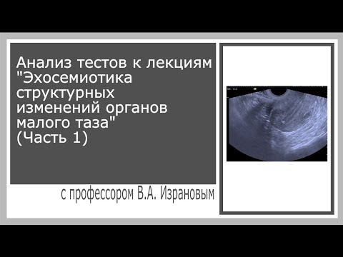 Видео: Анализ тестов к лекциям "Эхосемиотика структурных  изменений органов малого таза" (Часть 1)