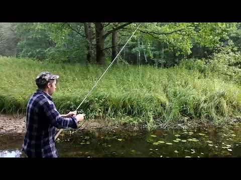 Видео: Ловля щуки в старице реки Плюсса на поверхностные приманки