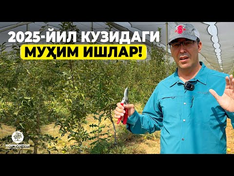 Видео: КУЗДА ДОРИЛАШ ВА КЕСИШ КЕРАКМИ? | ШУҲРАТ АБРОРОВ #shuhratabrorov #kuz #kesish #dorilash