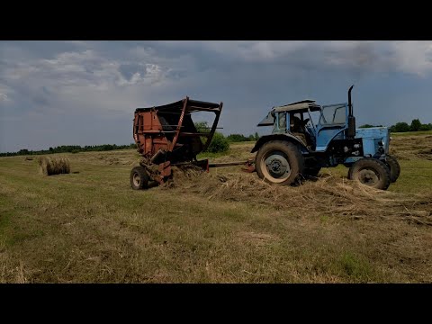 Видео: Нервный сенокос 2025