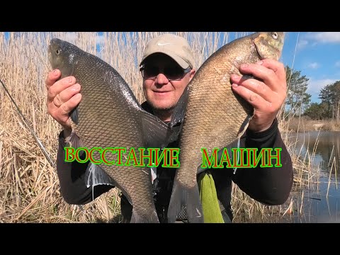 Видео: РЫБАЛКА БОКОВОЙ КИВОК Истребит ЧЕРНОГО ЛЕЩА  🐟 🐟 🐟