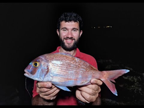 Видео: Рыбалка на Фуэртевентуре