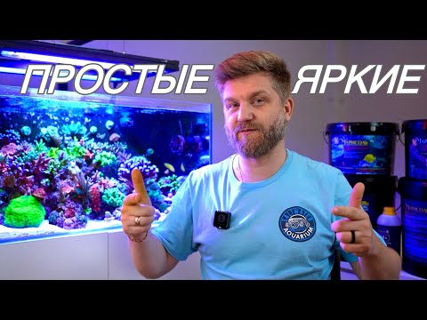 Видео: ТОП 5 МЯГКИХ КОРАЛЛОВ ДЛЯ НАЧИНАЮЩЕГО