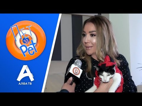 Видео: ПЕТ ЗА PET | ЛИЛА СТОЈАНОВСКА