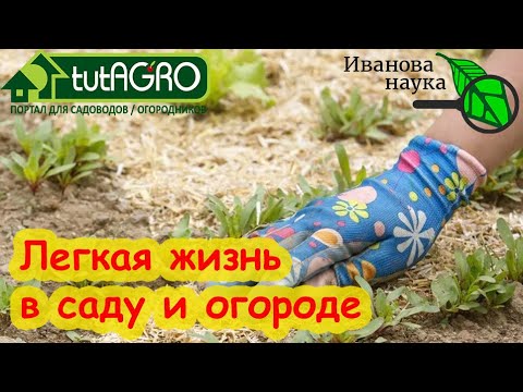 Видео: ЕСЛИ СИЛЫ УЖЕ НЕ ТЕ, ЭТИ СОВЕТЫ ВАМ ПОМОГУТ. Спина и колени скажут вам СПАСИБО!