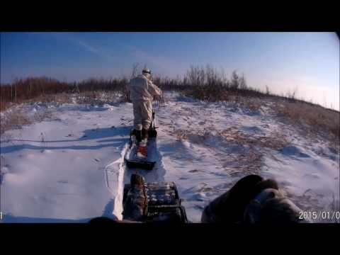 Видео: Мотобуксировщик ОМИЧ в поисках Хрюши