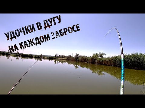 Видео: Карповый Платник в Матвеевке - Не Успевал Снимать Рыбу