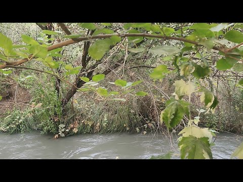 Видео: Ахмад Шарипов  Хусейни Бобоҷон 02.07.2025 с Консерт бо овози зинда . "Роҳатиҷон"