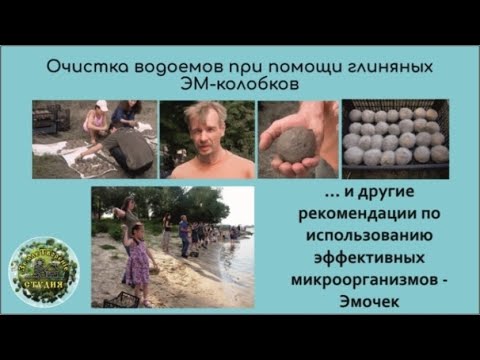 Видео: Очистка водоемов при помощи глиняных ЭМ-колобков