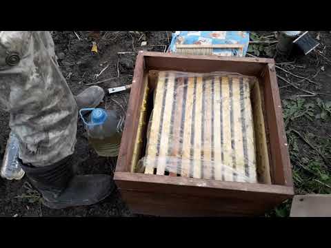 Видео: Сокращение пчеласемей к зимовки