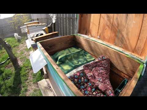 Видео: Осмотр весной ,  пора  расширять гнезда пчел где требуется.