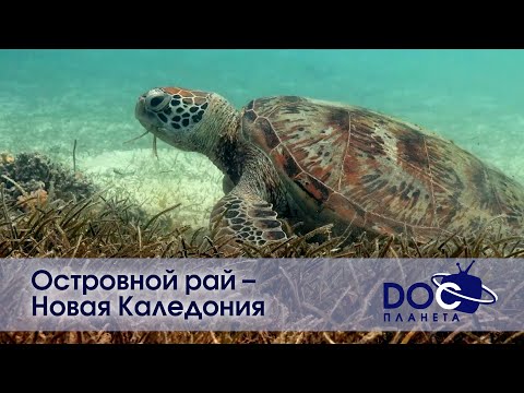 Видео: Островной рай – Новая Каледония - Документальный фильм