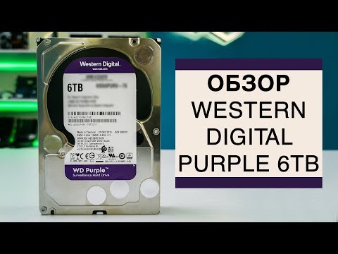 Видео: Обзор Western Digital Purple 6TB. Надёжный и недорогой HDD для видео?