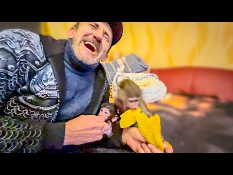 Видео: СМЕХ сквозь СЛЕЗЫ! Люська, Влад и Степашка ДЕЛЯТ МАНГО!