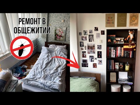 Видео: Ремонт в общаге/ Как живут студенты МГУ🔥 