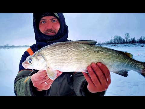 Видео: ДВА ДНЯ НА РЕКЕ В КОРЯЖНИКЕ!! СЫРОК, ЩУКА,ОКУНЬ! Рыбалка на Комбайны.Обь. Трудовой выезд.