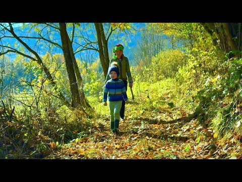 Видео: 💛Мария и Матфей в гостях у осени