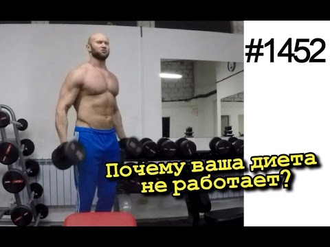 Видео: Почему Ваша диета не работает? Суше с каждым днем. День № 52