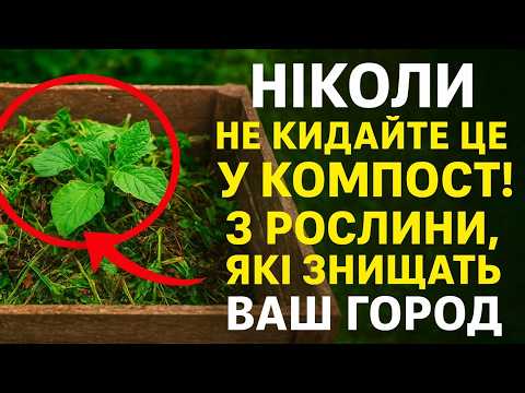 Видео: НІКОЛИ не кидайте ЦЕ у компост! 3 рослини, які ЗНИЩАТЬ ваш город