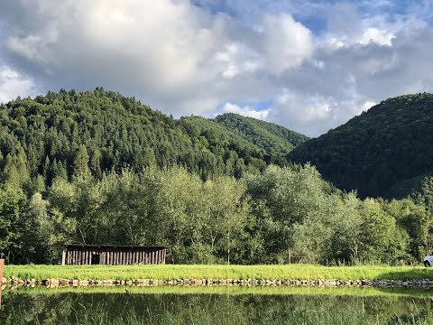 Видео: Рибничанка, Карпати, печена форель. Серпень 2021 (Rybnychanka, Carpathian mountains, baked trout)