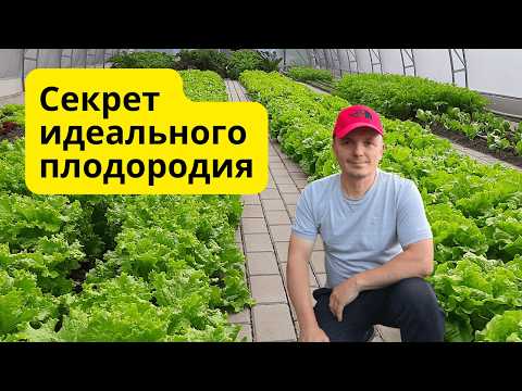 Видео: Как улучшить почву осенью? 🌱 Ошибки садоводов, которые снижают урожай.