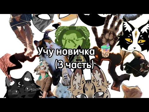 Видео: Учу новичка 🧋 3 часть