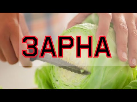 Видео: Зарна болгондо.