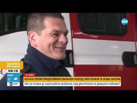 Видео: Избяга котката, спасила дете от пожар в Нова Загора (ВИДЕО)