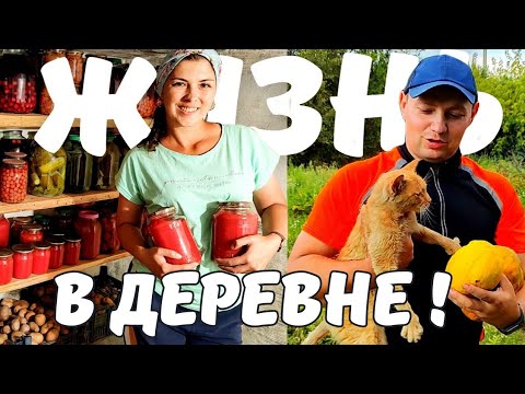 Видео: Деревенская Жизнь в Глухом Селе. Ремонт Погреба. Сбор Урожая. Заготовки на Зиму.