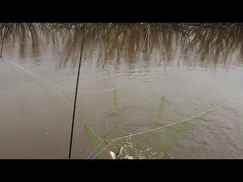 Видео: рыбалка на паук подъёмник