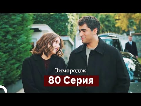 Видео: Зимородок 80 Cерия (Русский дубляж)