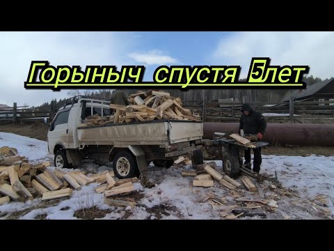 Видео: Дровокол ГОРЫНЫЧ. МОЁ МНЕНИЕ СПУСТЯ 5 ЛЕТ.