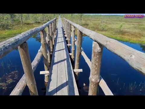 Видео: БОЛОТО МЯННИКЪЯРВЕ. 2 ЧАСТЬ.