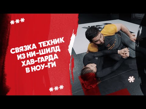 Видео: Связка техник из ни шилд хавгарда в ноу-ги / Бразильское джиу-джитсу