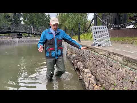 Видео: Ремонт габионов в реке. Укрепление реки габионами. Сколково 2023 г. #gabion #габион #габионы