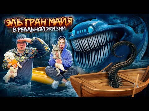 Видео: ЭЛЬ ГРАН МАЙЯ В РЕАЛЬНОЙ ЖИЗНИ | НАШЛИ ДОМ ИЗ ЩУПАЛЕЦ С КОТАМИ