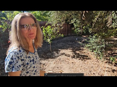 Видео: Спасаем розу. Птенчик пропал. Найдём ли мы его? Part 1