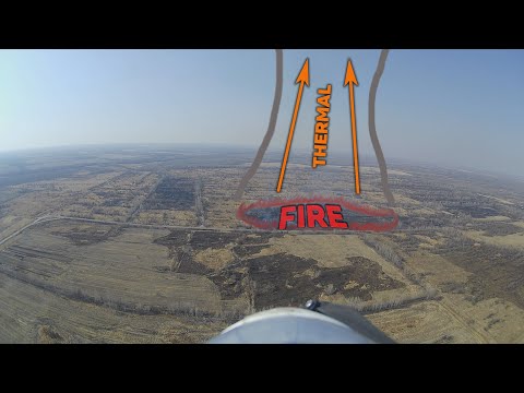 Видео: Термик