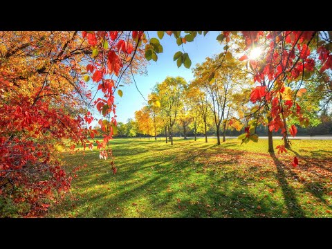 Видео: Хобби Влог: мои процессы и покупки🍁🍂🍁(сентябрь 2025г).