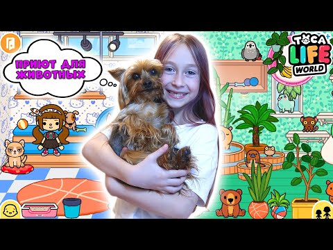 Видео: Обустроили ПРИЮТ ДЛЯ ЖИВОТНЫХ в Тока Бока