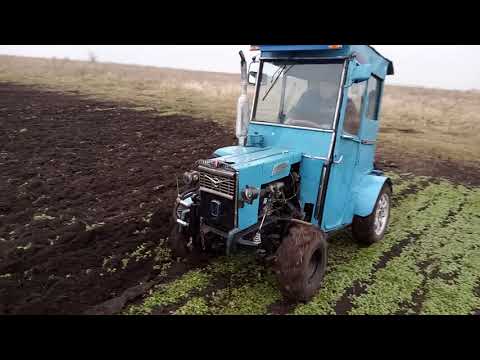 Видео: вспашка горчицы