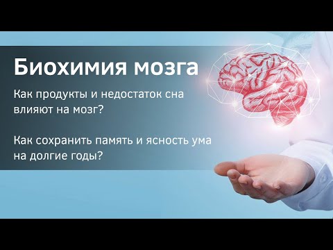 Видео: Биохимия мозга. Как питание и недостаток сна влияют на мозг.