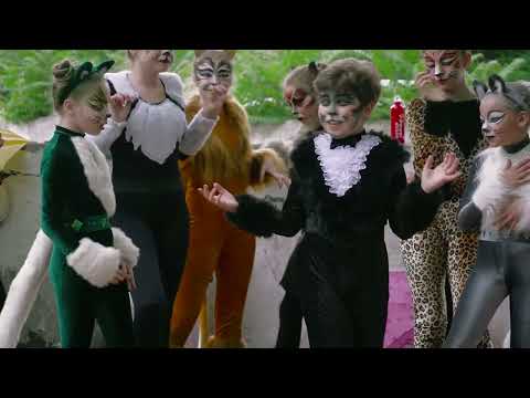 Видео: кошки музыкальная постановка